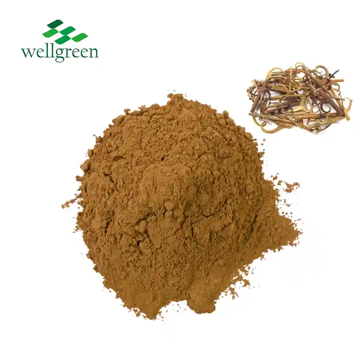 Uncaria Gambir Extract